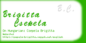 brigitta csepela business card